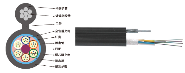 GYFTC8Y:非金属加强构件、松套层绞填充式、聚乙烯护套、“8”字自承式通信用室外光缆