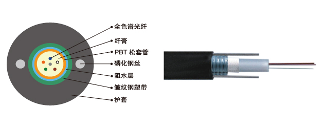 GYXT(Z)W: 金属加强构件、中心管填充式、夹带钢丝的钢-聚乙烯粘结(阻燃)护套通信用室外光缆